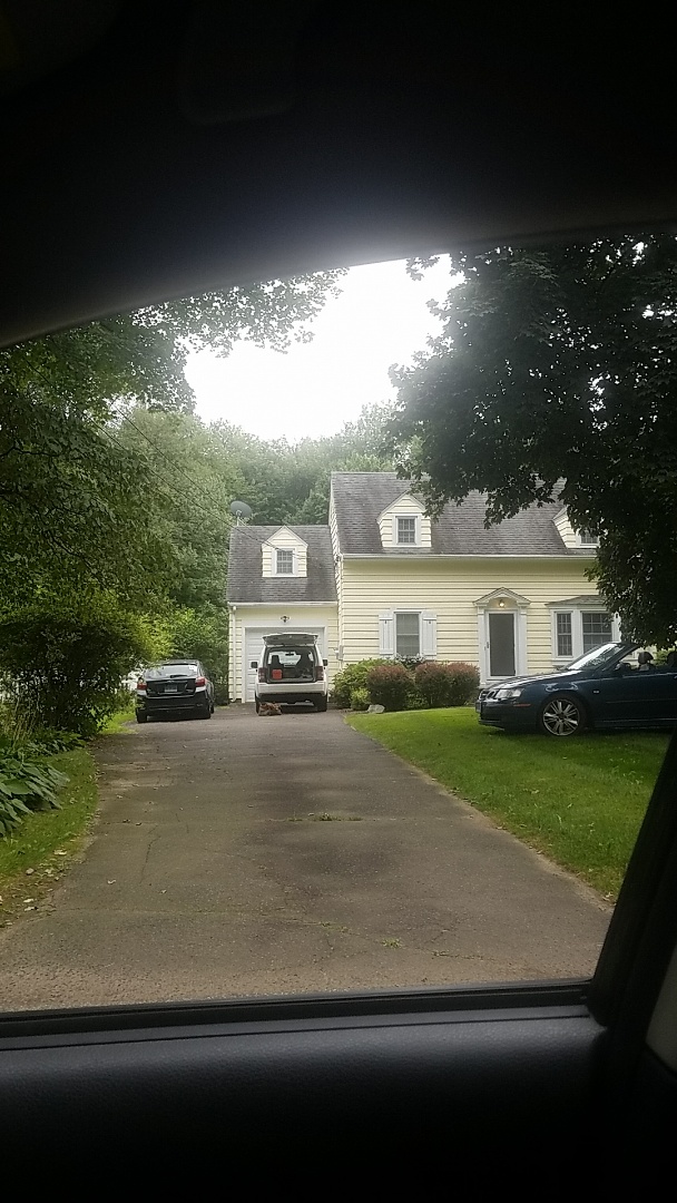 ceilings cracking and peeling repaired and painted. trim repaired and painted 