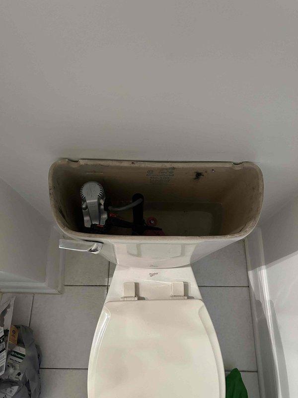 Replaced toilet fill valve, flapper, and handle to restore proper flushing function. Diagnosed water heater issue during visit as requested by customer - Bradford White unit was not heating since 12/18. Completed inspection of water heater components and connections to identify the source of heating failure.