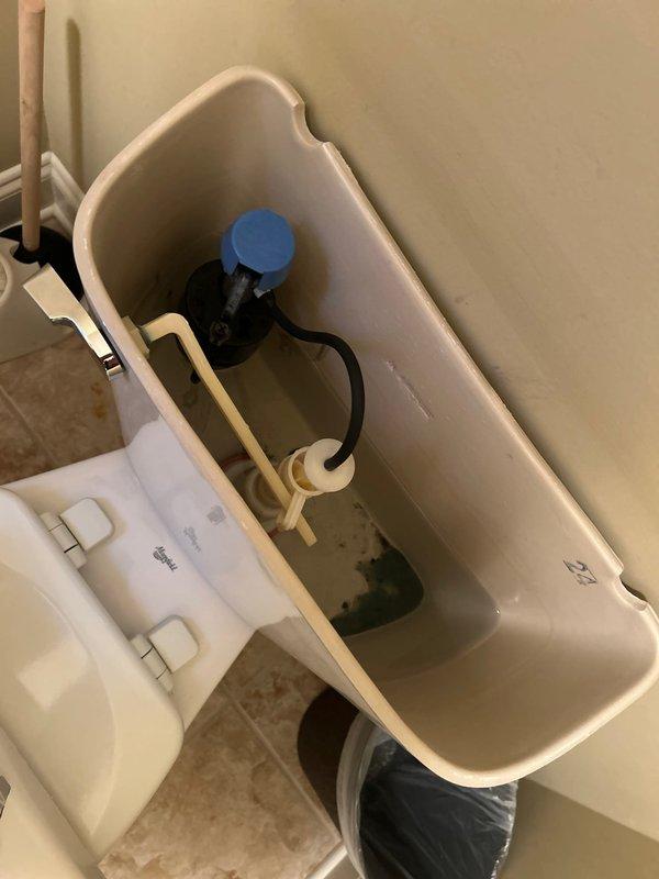 Conducted routine plumbing inspection of toilet tank system. Identified mineral deposits and staining at bottom of tank. Inspected functional components including fill valve with blue cap, float ball mechanism, and flush valve assembly - all showing normal wear but operating properly.