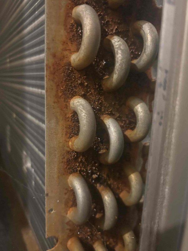 Performed routine maintenance on commercial HVAC system located in basement. Removed and cleaned washable filters which showed significant dust accumulation. Inspected cooling coils which exhibited extensive corrosion and rust buildup around tube mounting points, indicating potential moisture issues that may require future attention.
