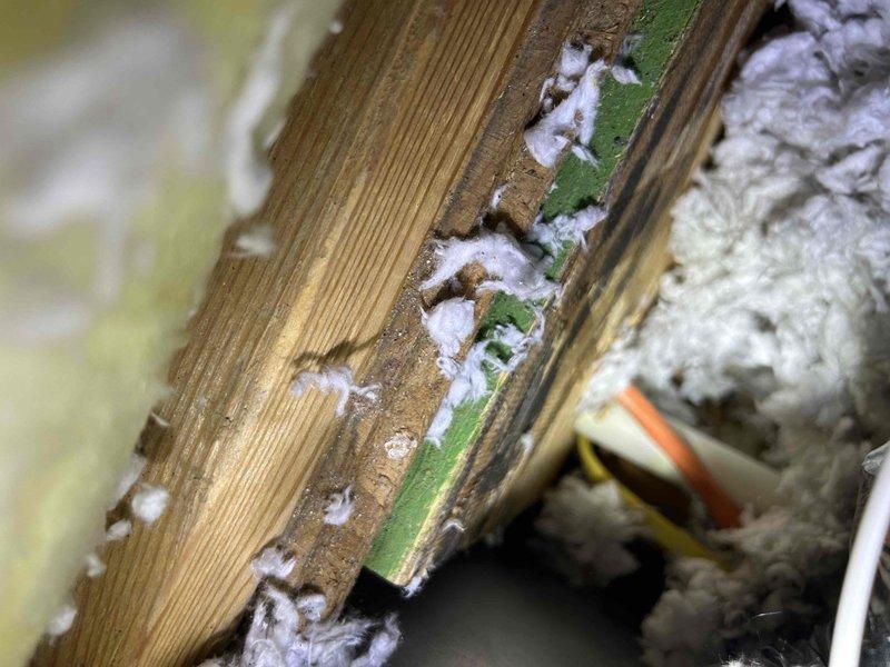 Responded to non-urgent service request regarding gurgling sounds in condensate drain line. Inspected Rheem HVAC system located in attic space, examining the condensate drain assembly and surrounding structural components. Cleared blockage in condensate drain line, removing accumulated debris to restore proper drainage function and prevent potential water damage to ceiling below.