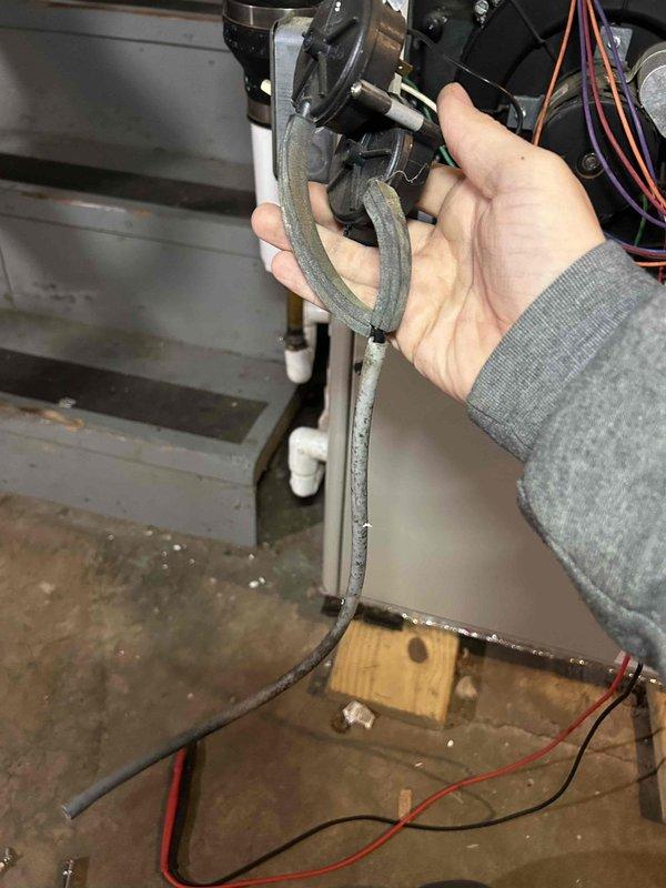 Diagnosed Westinghouse gas furnace experiencing no heat condition. Discovered condensate blockage in drain hose causing safety switch activation and preventing ignition. Cleared obstruction in drain line, verified proper drainage, and confirmed system operation with normal flame and heat output.