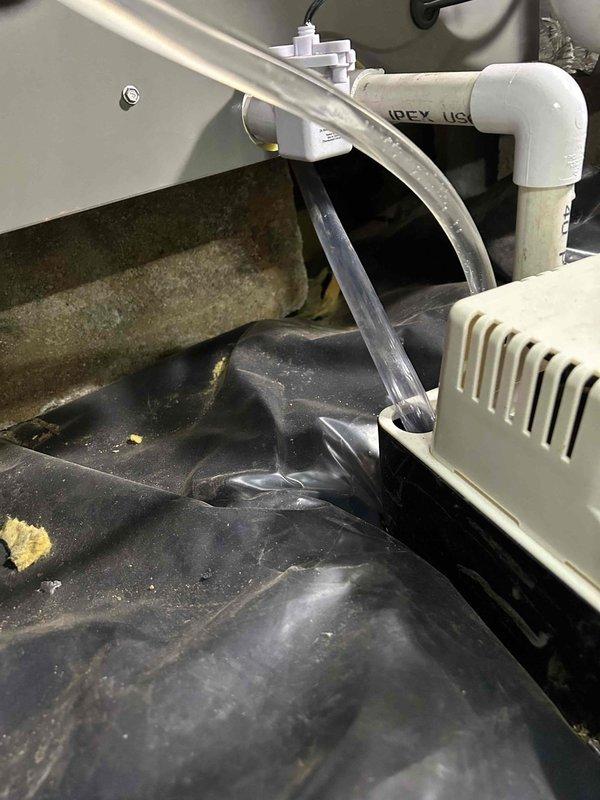 Investigated continuing knocking noise issue despite previous repair attempt that addressed flue pipe binding against joists. Inspected condensate drainage system and identified improper drainage in collection pan with visible moisture accumulation. Secured loose pipe connections and repositioned piping to eliminate movement during thermal expansion/contraction cycles, resolving the persistent knocking sound.