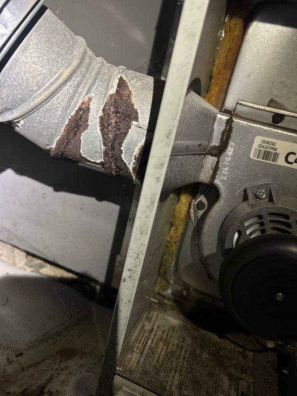 Completed Club Duo maintenance on dual AC and gas furnace systems as part of customer's care plan. Observed significant rust and corrosion on the furnace ductwork/plenum connection, documented with photos for future reference. Customer provided their own filters for the service.