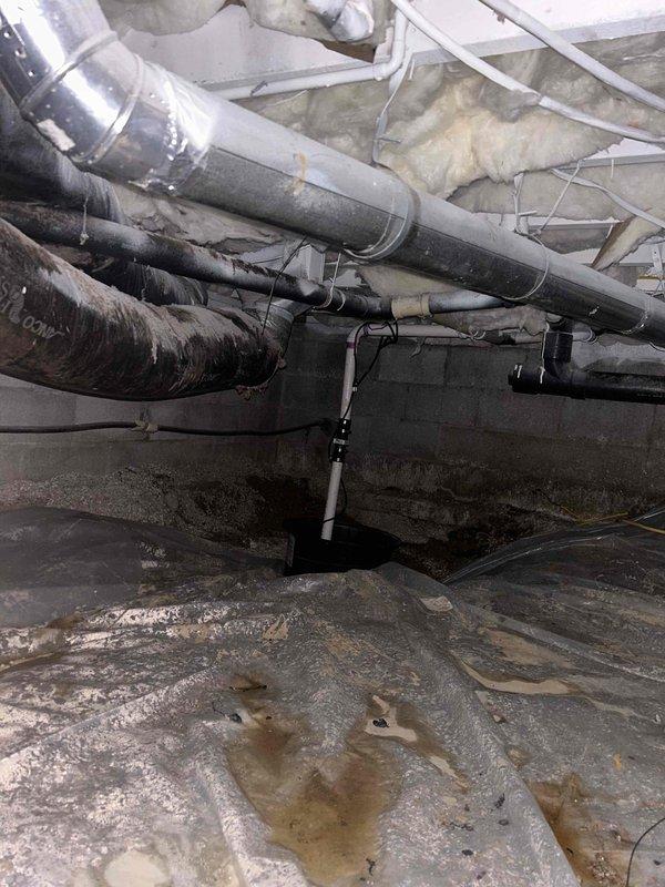 Performed inspection of main drain system in crawl space to investigate customer-reported odors, slow drains, and bubbling sounds. Customer suspected root intrusion in corrugated pipe section where drain line runs under driveway and discharges to creek. Inspected plumbing infrastructure and identified areas of concern in the vapor barrier protected basement area where multiple drain lines converge.