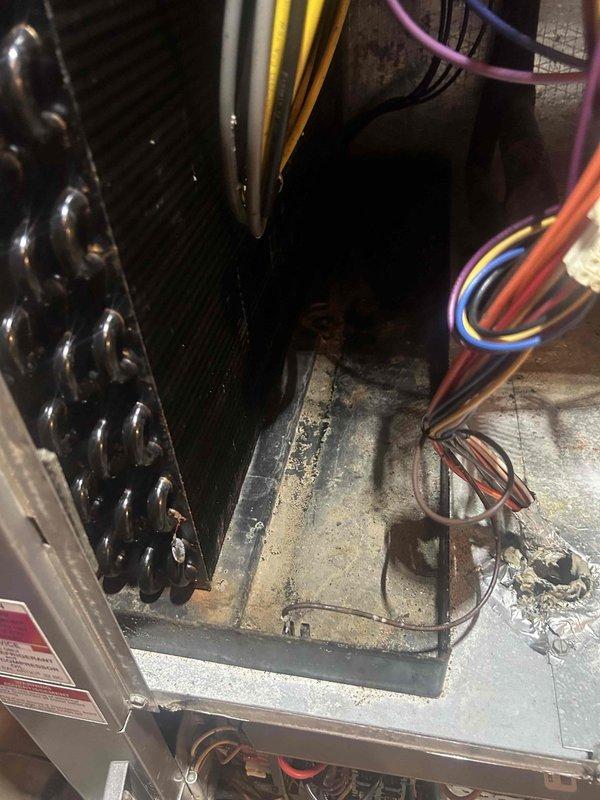 Performed Care Plan Tune Up on customer's Geo basement unit. Inspected circuit board and electrical connections in control panel, noting normal operation with no visible issues. Examined heat exchanger coils which showed some dust accumulation but remain in functional condition. Customer provided filters as agreed in maintenance plan.