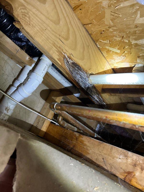 Responded to steady water leak in upstairs bathroom with water already shut off at main. Inspection revealed water damage and deterioration in wooden support beam under the bathroom, with visible moisture damage to joists and OSB sheathing. Identified corroded pipe connections at the shutoff valves as the source of the leak, requiring replacement of affected plumbing components to restore proper function.