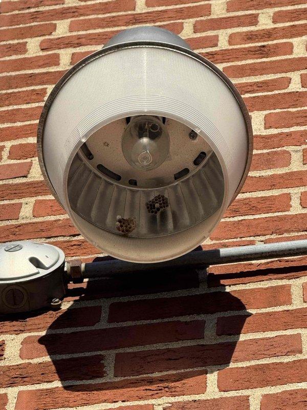 Conducted electrical estimate for hallway light replacement at church property. Inspected two exterior light fixtures - one cylindrical with a ribbed diffuser on brick wall and one rectangular black fixture with frosted panel mounted beneath soffit. Will recommend suitable replacement options and possible repair alternatives as requested by Pastor.