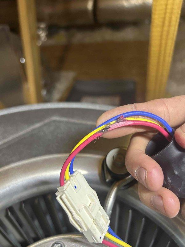 Completed warranty replacement of faulty inducer motor inverter board. Disconnected and reconnected wiring harness from control board to inducer assembly. Unit operational after board replacement; inducer motor and blower wheel verified functioning properly.
