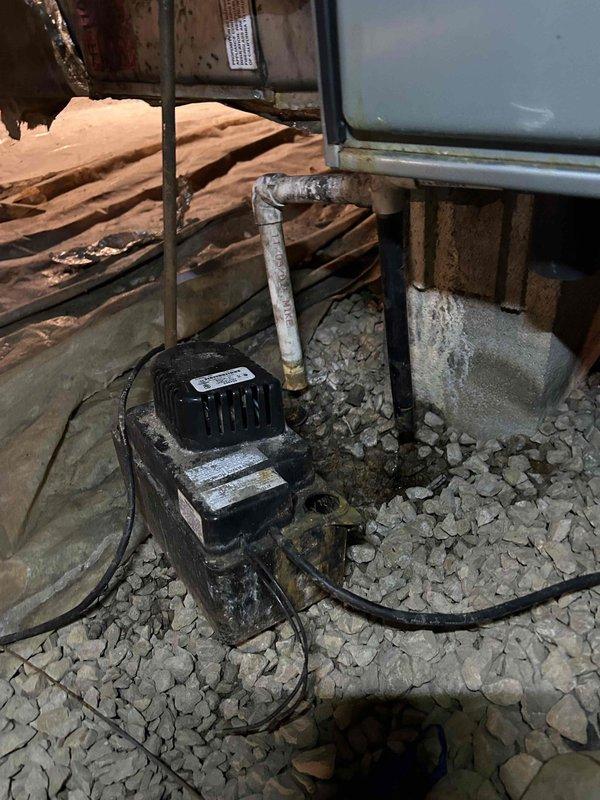 Performed routine Care Plan maintenance on 15-year-old heat pump/gas furnace system located in crawl space. Inspected condensate pump installation and verified proper drainage configuration. Checked gas burner assembly operation, confirming clean blue flame pattern across all six burners indicating proper combustion. Customer supplied filters as per agreement.