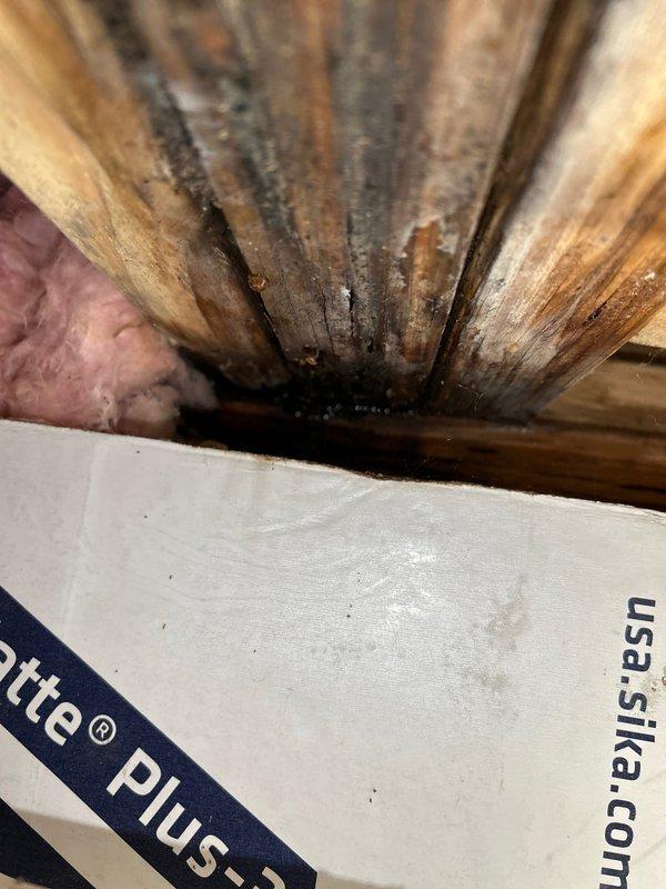 Conducted a comprehensive 60-point plumbing inspection to investigate customer's water pressure issues reportedly following recent toilet and water heater installation. Inspection revealed significant structural wood deterioration and water damage in the basement/crawlspace area, likely contributing to the reported problems. Documented condition of PVC plumbing system and identified potential correlation between the damaged wooden supports and the water pressure concerns.