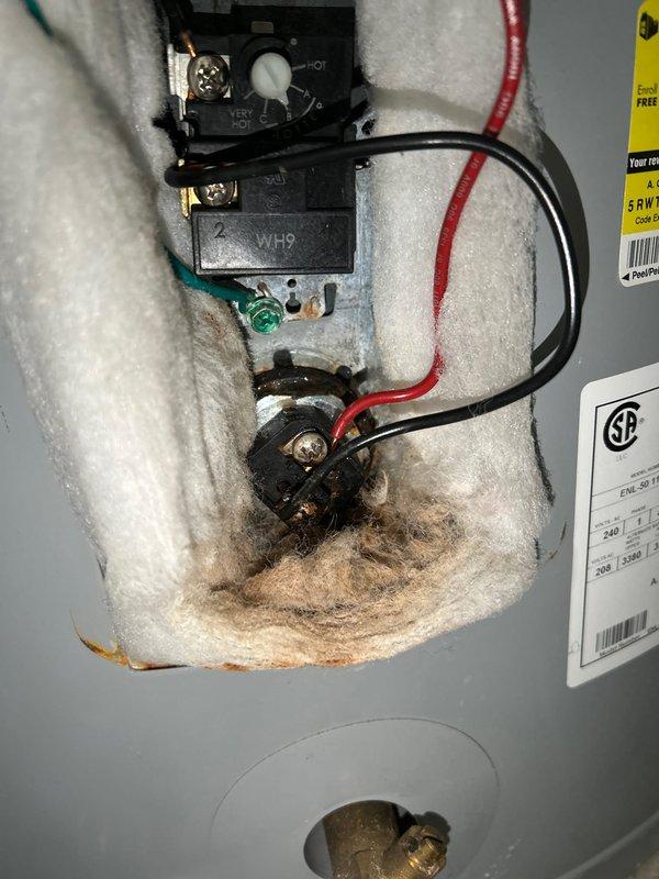 Diagnosed no hot water issue on 6-year-old tanked water heater by conducting electrical testing, which revealed damaged/burned thermostat connections. Visual inspection showed significant deterioration and discoloration of insulation surrounding the electrical components, indicating thermal damage to the control assembly.
