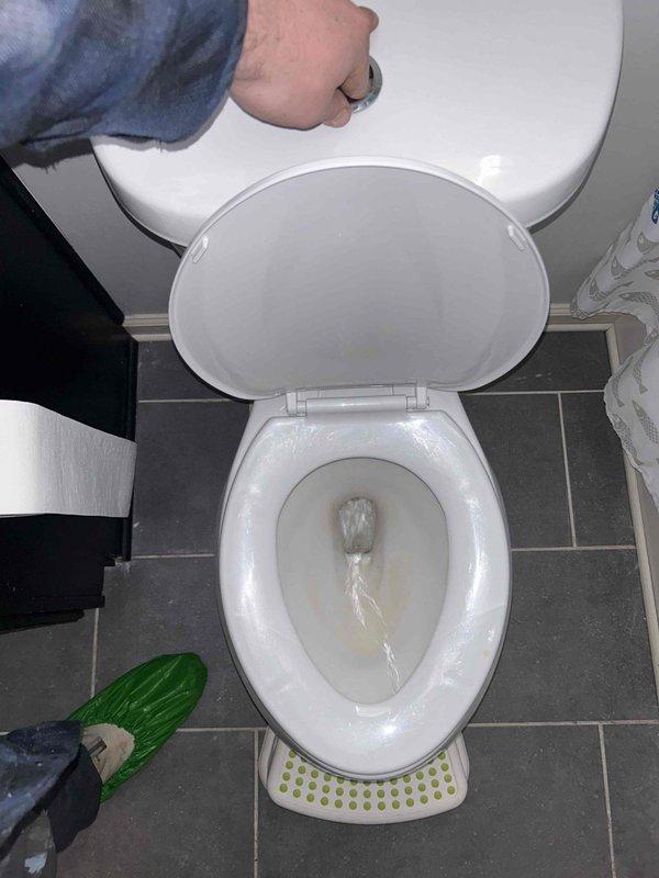 Conducted routine plumbing inspection of bathroom fixtures. Verified proper toilet flushing operation and water flow. Tested shower head functionality, confirming adequate water pressure and distribution through all nozzles with no visible leaks in the fixture or connecting hose.