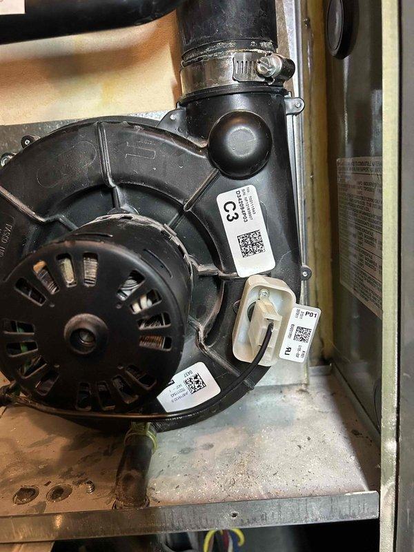Diagnosed no-heat condition on 6-year-old Trane gas furnace reporting pressure switch error. Upon inspection, found faulty draft inducer motor (identified by C3/P01 labeling) preventing proper combustion sequence. Replaced inducer motor assembly, verified proper pressure switch operation, and confirmed normal heating cycle resumed with appropriate flame sensing and temperature rise.