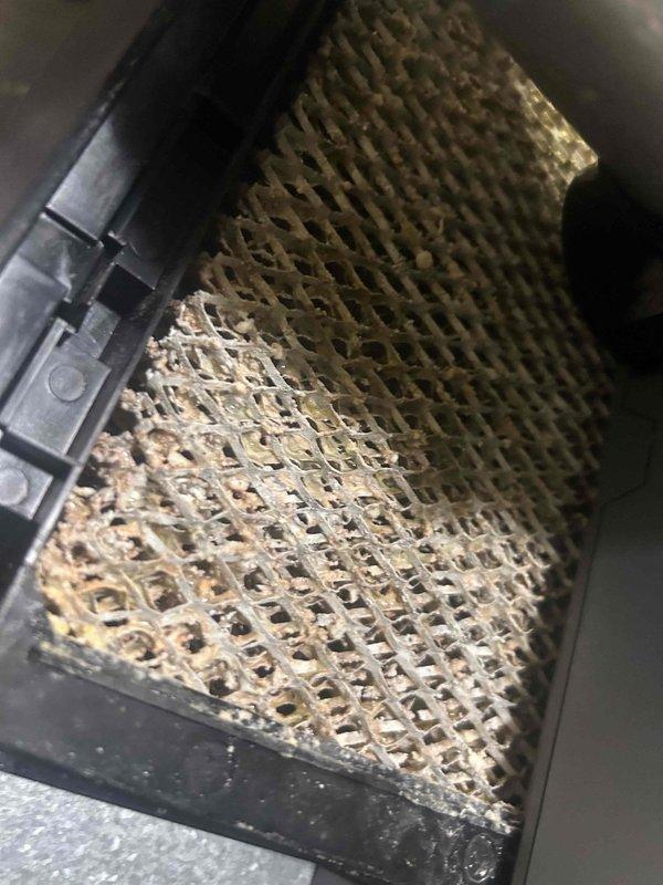 Performed Care Plan Tune Up on AC/GF system with humidifier located in first floor closet of split foyer residence. Inspected and documented dirty air filter/evaporator component with significant debris accumulation. Conducted electrical diagnostic testing using Fluke 376 FC True RMS Clamp Meter to verify proper system operation.
