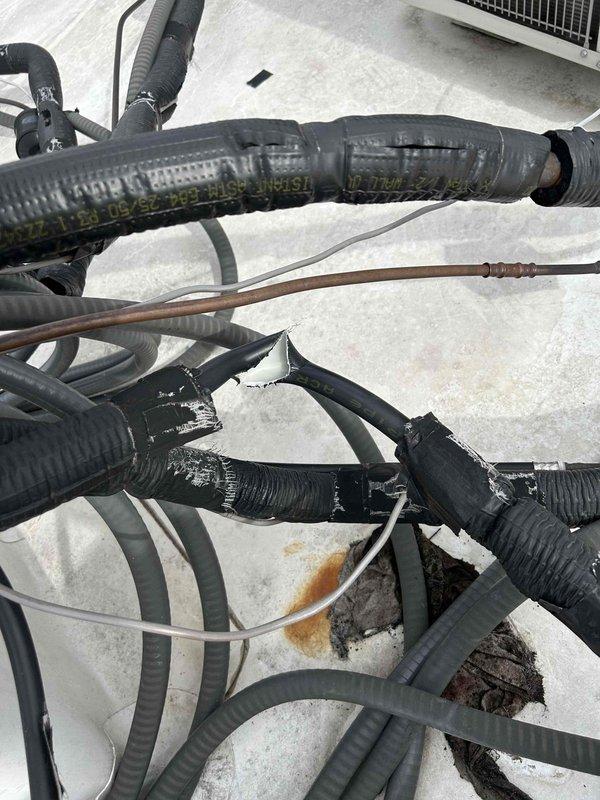 Responded to a no-heat call for a 6-year-old electric HVAC system. Inspection revealed damaged refrigerant lines where insulation had deteriorated, allowing moisture infiltration. Repaired and resealed the affected black insulated pipes with appropriate tape/sealant, particularly at junction points, and verified proper operation of the system after repair.