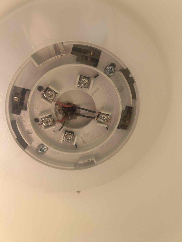 Responded to service call regarding a beeping smoke detector. Upon inspection, removed and examined two ceiling-mounted smoke detectors, checking terminal connections and internal components. Successfully diagnosed the issue, reattached the devices to their ceiling mounts, and verified proper operation with no further alarm activation.