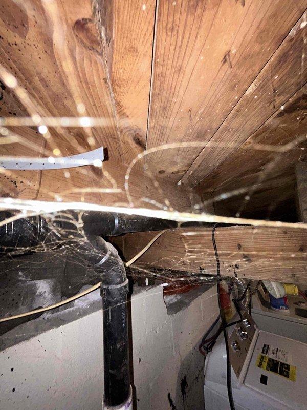 Conducted assessment of sump pump system requiring relocation from current position at front of residence adjacent to chain link fence. Inspection of crawlspace revealed existing PVC drainage network with multiple joints/connections mounted to wooden joists, with evidence of aging and possible moisture exposure. Quote prepared for complete sump pump relocation as requested.