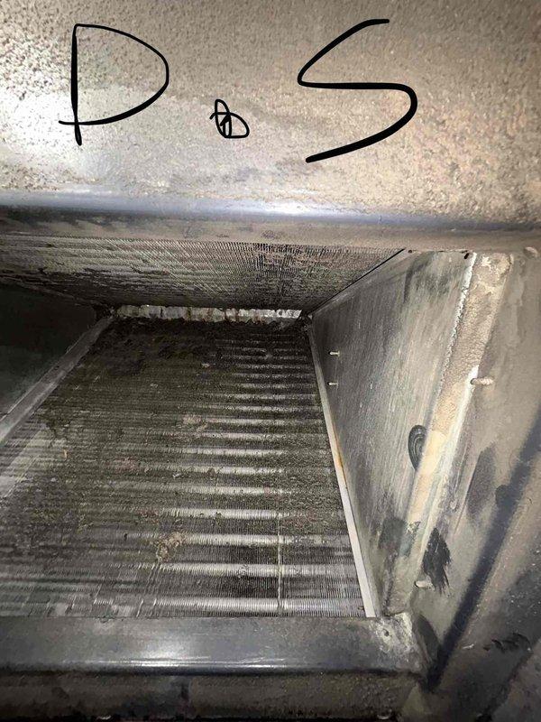 Performed Club Duo maintenance on two heat pump systems in attic, with focus on cleaning severely dust-contaminated blower wheel and evaporator coil on primary system. Added refrigerant to restore proper system operation and replaced filters on both units, completing comprehensive maintenance to restore efficiency and airflow.