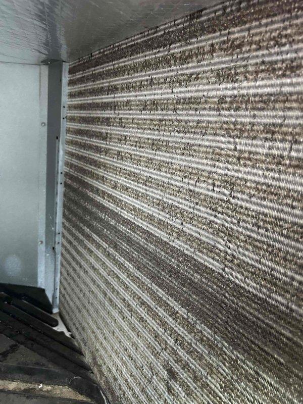 Performed diagnostic evaluation on a gas furnace/AC system under 10 years old that was experiencing limited airflow distribution. Inspection revealed severely contaminated evaporator coil with extensive dirt, dust, and organic buildup between fins, significantly restricting airflow and causing system to deliver conditioned air through only one supply vent. Thoroughly cleaned evaporator coil to restore proper system performance and airflow distribution.