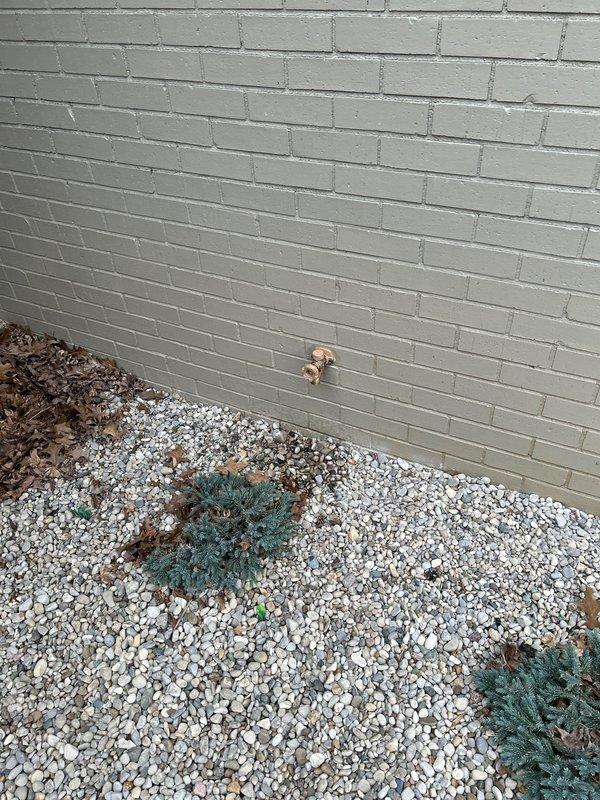 Cut in access panel in garage to install new copper supply line for exterior hose bibb. Replaced old fixture with new model and verified proper functionality of the outdoor faucet before completing job.