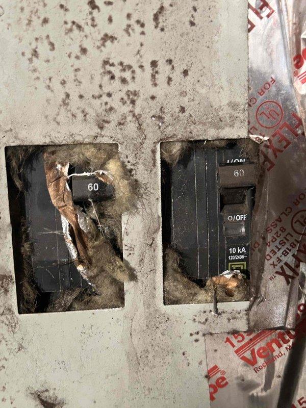 Responded to no heat call for 3-5 year old electric HVAC system that stopped functioning properly after a recent storm. Inspection revealed significant electrical panel deterioration with pest/rodent nesting material surrounding the breakers, creating a serious electrical hazard. The attic-mounted air handler was functioning properly, but the thermostat was non-operational due to the compromised electrical connection.