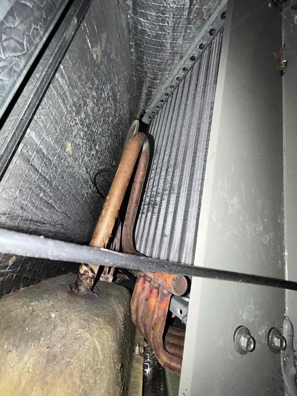 Performed scheduled Care Plan Tune Up on AC/GF and HP/AH system with customer-supplied filter. Inspection revealed significant copper corrosion and rust formation on evaporator coils and heat exchanger components. Capacitor connections were checked and found secure with proper wire terminal attachments, though unit shows signs of age-related wear requiring monitoring.
