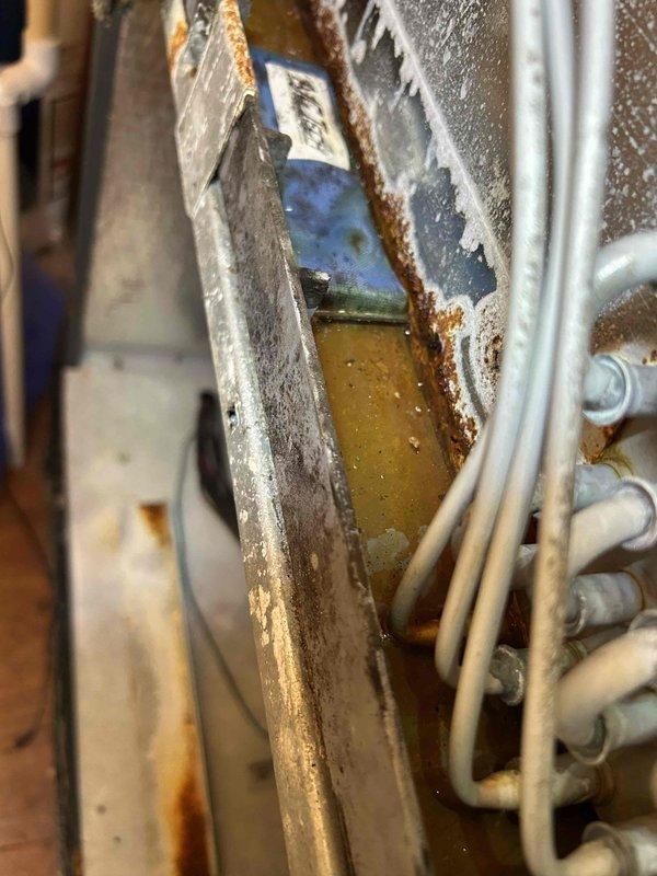 # HVAC Service Report - Musty Odor Complaint

Responded to service call for musty odor emanating from downstairs air conditioning system during cooling operation. Customer reported odor persisted even after extended runtime of 15-year-old AC system, which was still operational for cooling.

Upon arrival during requested evening service window, conducted visual inspection of HVAC equipment located in narrow utility closet. Accessed air handler unit and examined internal components for source of odor complaint. Inspection revealed significant rust corrosion and deterioration on evaporator coil drain pan assembly. 

Documented extensive orange-brown rust buildup along drain pan edges and channels, with yellowish-brown liquid residue pooled in bottom of corroded pan. Metal surfaces showed advanced oxidation and deterioration consistent with long-term moisture exposure. Condition of drain pan indicated chronic condensate management issues contributing to microbial growth and musty odor gene