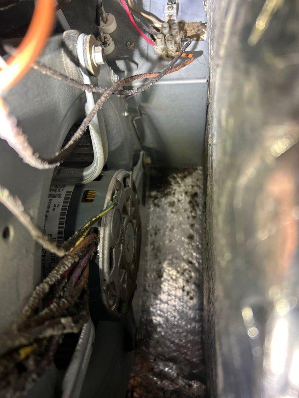 Serviced two HVAC systems in basement. Unit #1: 20-year-old Rheem system received new 10 MFD and 30 MFD capacitors, disassembled and cleaned condenser coil, cleaned evaporator coil, and installed drain safety switch. Unit #2: 11-year-old Carrier system received new 35/5 MFD dual capacitor, disassembled and cleaned condenser coil, cleaned evaporator coil, and installed drain safety switch. Replaced three 16x20x1 air filters. All systems tested and operating properly upon completion.