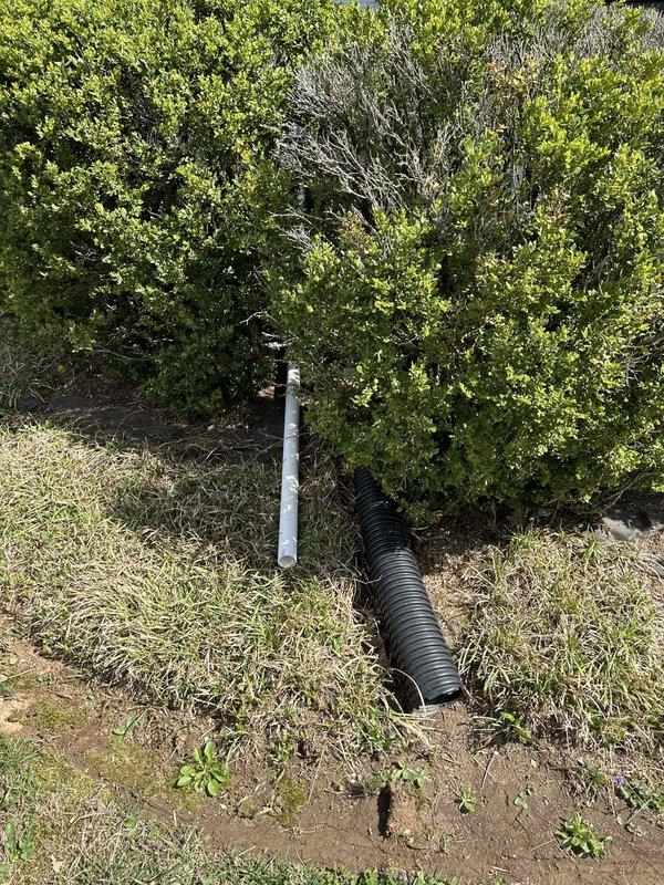 Successfully completed drainage system upgrade by connecting to existing galvanized discharge line and replacing with new 1.5-inch PVC pipe. Ran the upgraded discharge line past landscaping bushes to proper termination point in yard for improved drainage flow. All materials installed and system tested for proper operation.