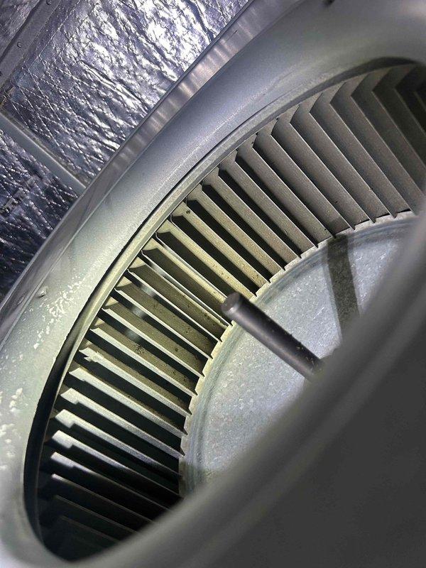 Completed preventive maintenance tune-up on a 4-year-old heat pump air handler unit located in the basement. Inspected blower assembly and found light dust accumulation on the squirrel cage fan blades; verified proper operation and airflow. Replaced 20x20x1 pleated air filter provided by customer to ensure optimal system performance and indoor air quality.