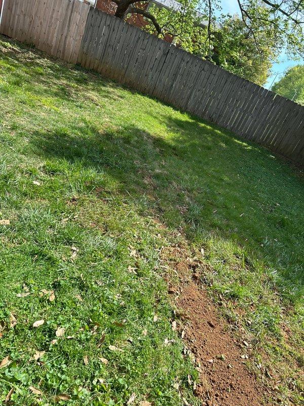 Relocated sump pump discharge line from sewer connection to exterior yard drainage system. Capped original connection point at sewer line and routed new discharge piping from crawl space through buried trench to backyard, terminating at pop-up emitter for proper water dispersal. Backfilled excavated trench, applied seed and straw to disturbed areas, and verified complete sump pump operation and discharge function upon project completion.