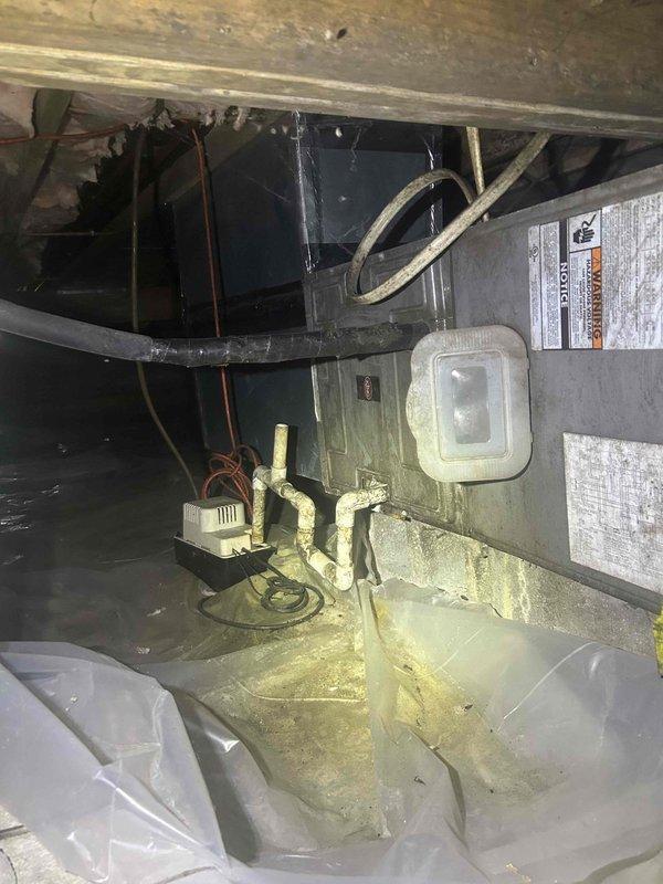 Responded to no cooling call on 20-year-old heat pump system with R22 refrigerant. Upon inspection in crawl space, diagnosed failed compressor contactor preventing outdoor unit from engaging. Replaced contactor, verified proper voltage and amperage draw, tested system operation through complete cooling cycle. System now cooling properly with all components functioning as designed.