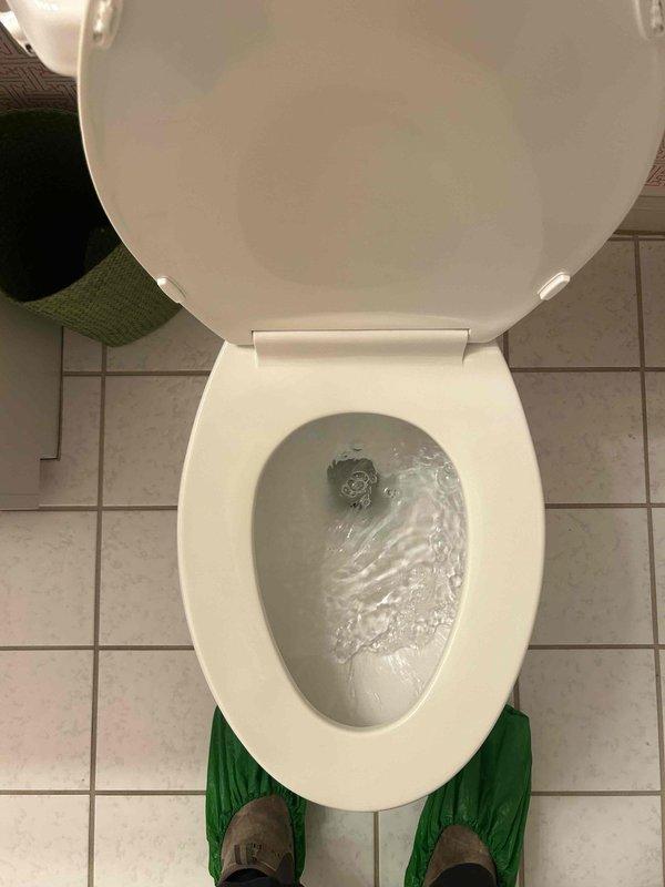 Performed routine maintenance flush on tanked water heater to remove sediment buildup and maintain optimal efficiency. Drained water heater completely through bottom drain valve, cleared accumulated mineral deposits and debris from tank bottom, then refilled unit and verified proper operation of all safety components including temperature/pressure relief valve and gas control system.