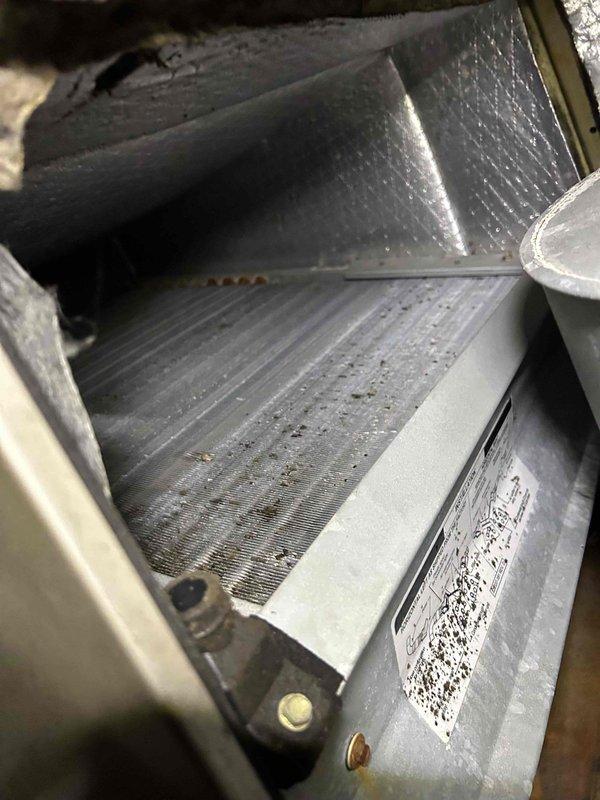 Responded to no cool call on residential air conditioning system with air handler located in attic. Upon inspection, found evaporator coil heavily loaded with dust and debris accumulation, significantly restricting airflow and reducing cooling capacity. Documented system condition with photographs of specification label and internal components showing substantial particulate buildup on heat exchanger fins. Advised customer that dirty coil is primary cause of reduced cooling performance and recommended professional coil cleaning service to restore proper system operation and efficiency.