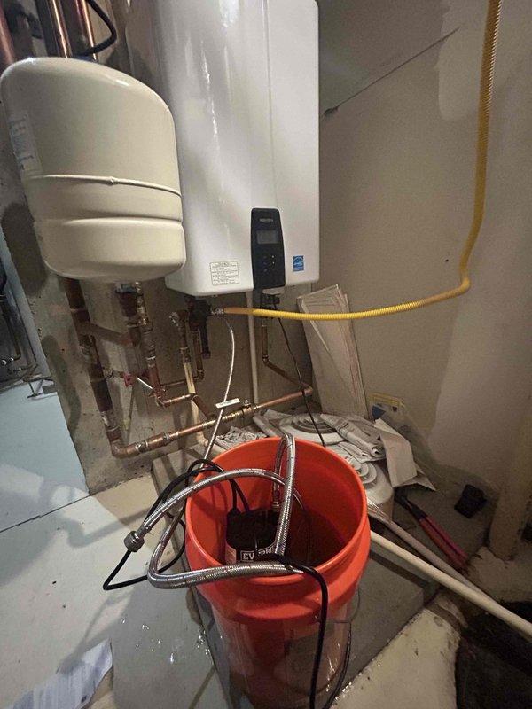 Performed annual maintenance service on three tankless water heaters including complete system flush to remove mineral buildup and ensure optimal performance. Replaced water filter cartridges using customer-supplied units, documented filter specifications (blue cylindrical whole-house filter housing with white end caps) for future service reference, and verified all plumbing connections and valves for proper operation throughout the system.