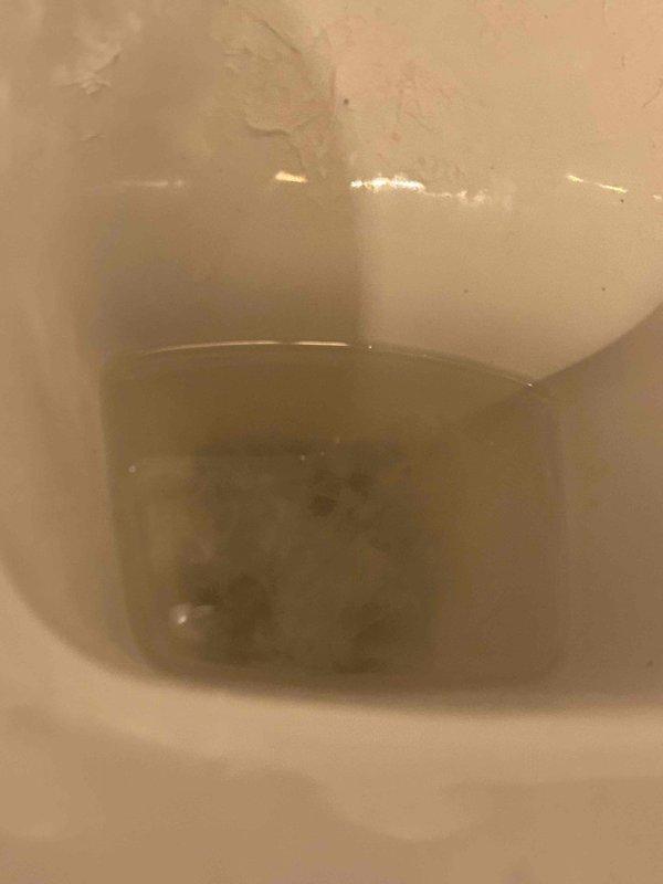 Responded to commercial urinal clog complaint and performed diagnostic inspection of plumbing system. Upon investigation, discovered the issue extended beyond the urinal to include failed baffles in the grease trap pump system. Assessed damaged inlet and outlet baffles that had broken and deteriorated, compromising the grease trap's functionality. Documented existing conditions including discolored water and corroded plumbing components showing significant wear and deterioration. Provided assessment for necessary repairs to restore proper operation of both the urinal drainage system and grease trap pump assembly.