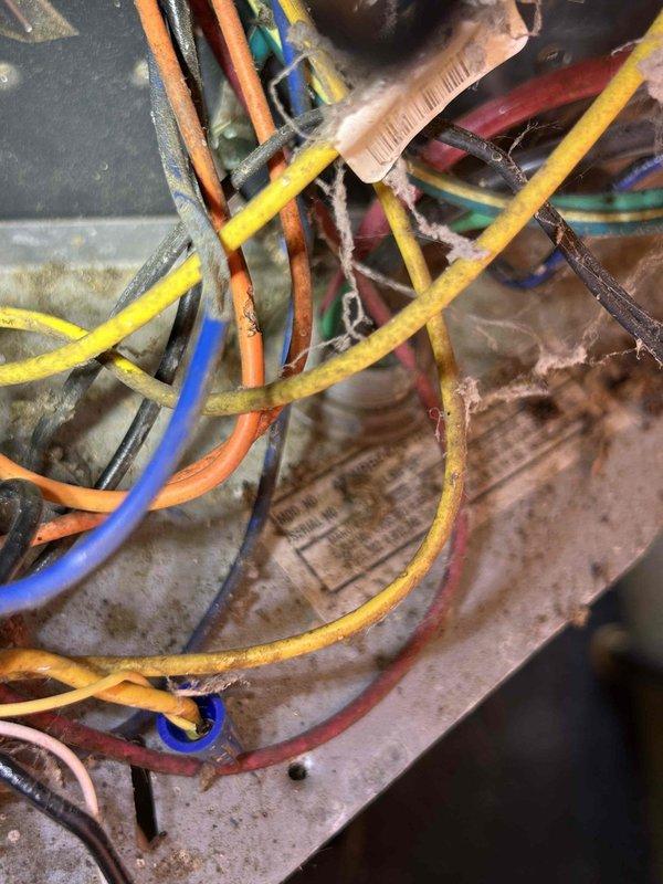 Responded to no cooling call on 7-year-old heat pump system. Upon inspection, discovered severely deteriorated and frayed electrical wiring with compromised insulation throughout the unit, posing both safety and operational concerns. Interior components showed evidence of moisture intrusion with visible mold growth on air handler panels and heat exchanger surfaces. Documented extensive wire degradation affecting multiple circuit connections. System requires immediate electrical rewiring and thorough cleaning of biological growth before refrigerant diagnostics can be safely performed. Unit remains non-operational pending necessary repairs; advised customer of warranty coverage eligibility for applicable components.