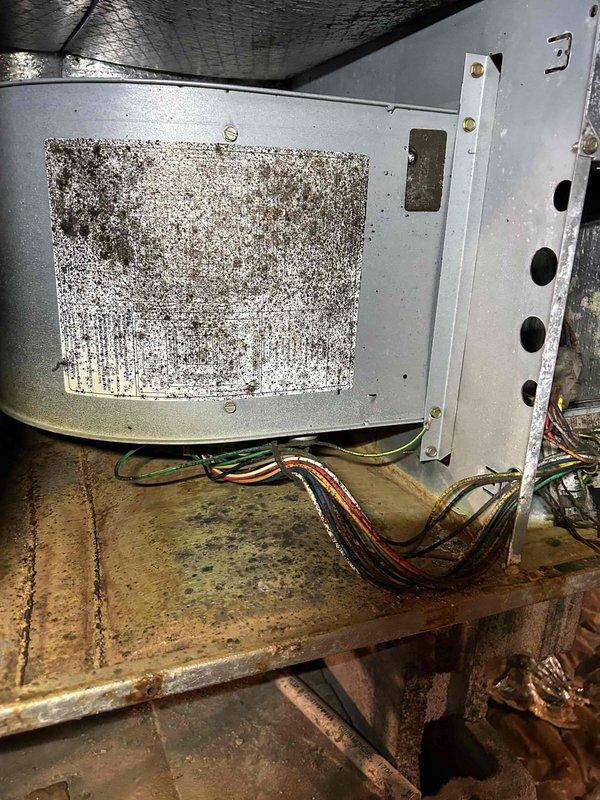 Completed comprehensive maintenance tune-up on dual heat pump and air handler system as part of club membership care plan. Upon inspection, discovered heavily soiled air filter with significant dust and debris accumulation, indicating extended use without replacement; filter exhibited dark staining and particulate buildup restricting airflow. Measured electrical parameters using clamp meter, recording operating amperage of 34.53 amps on system components. Performed standard maintenance procedures including visual inspection of all accessible components, verified electrical connections, and documented system condition with photographic evidence showing filter contamination and rust staining on equipment base indicating potential moisture exposure.