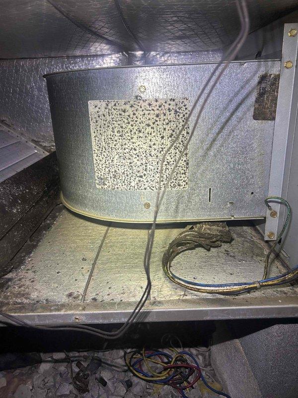 Responded to no cooling complaint on residential HVAC system over 10 years old. Upon arrival, located air handler unit in attic space and observed heavily soiled air filter with significant dust and debris accumulation restricting airflow. Inspected condensing unit at exterior window well location against foundation. System evaluation revealed compromised cooling performance directly related to restricted airflow from neglected filter maintenance, preventing adequate air circulation across evaporator coil and reducing system efficiency.
