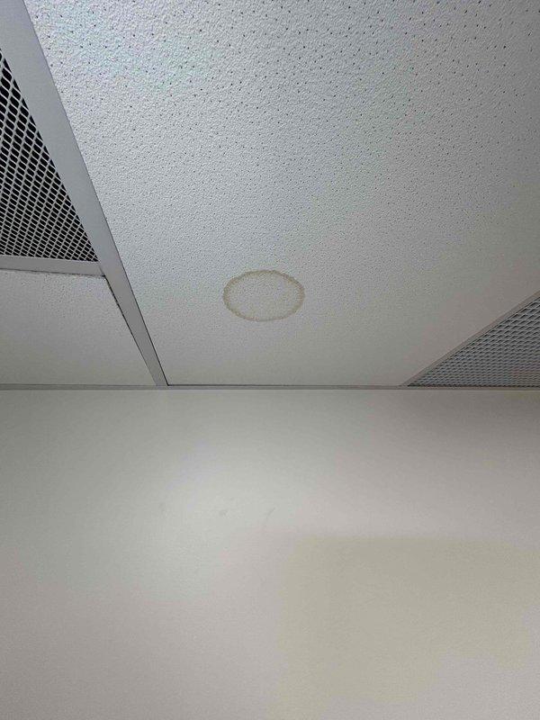 Responded to commercial no cooling call with reported water leakage causing ceiling tile damage. Accessed rooftop HVAC unit through tenant office suite and conducted thorough inspection of air handler and ductwork system. Upon examination, identified condensate drainage issues and inadequate duct insulation contributing to moisture intrusion. Documented water-stained ceiling tiles and inspected duct connections showing aged foil tape sealing. Photographed affected areas including damaged ceiling tiles with visible water rings and close-up views of ductwork assembly with worn tape sealing at connections. Verified roof had been previously inspected and ruled out as source of water intrusion. Findings indicate condensate management system requires attention and ductwork insulation needs replacement or supplementation to prevent continued moisture problems and restore proper system operation.
