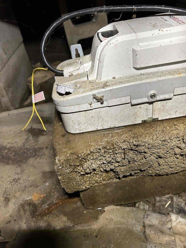Responded to no cooling call on 5-year-old air conditioning system. Upon arrival, unit had restored operation, possibly due to tripped breaker that was reset. Performed comprehensive system inspection to verify proper operation and identify any underlying issues. Measured supply air temperature differential at ductwork, recording 10.2°F reading. Inspected indoor air handler unit in crawlspace, noting normal dust accumulation consistent with system age. Verified electrical connections, refrigerant operation, and airflow. System operating within normal parameters at time of departure with no additional deficiencies found.