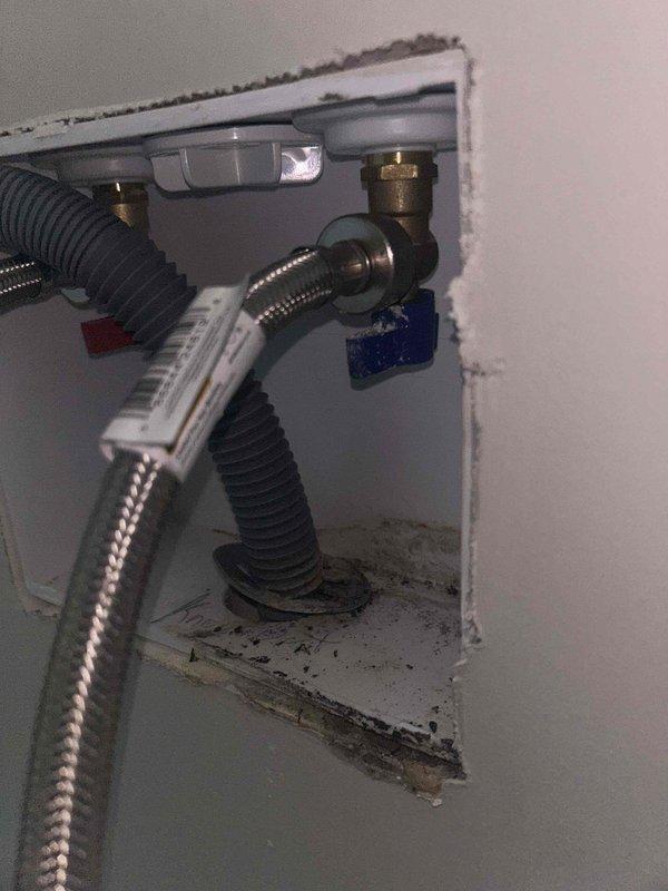 Responded to water leak in basement laundry room where cold water hose bib connection to washing machine was actively leaking. Removed defective hose bib assembly, installed new brass shutoff valve with proper mounting bracket, and connected new braided stainless steel flex supply lines to washing machine. Addressed visible mold growth in affected area and verified all connections were secure with no active leaks upon completion.