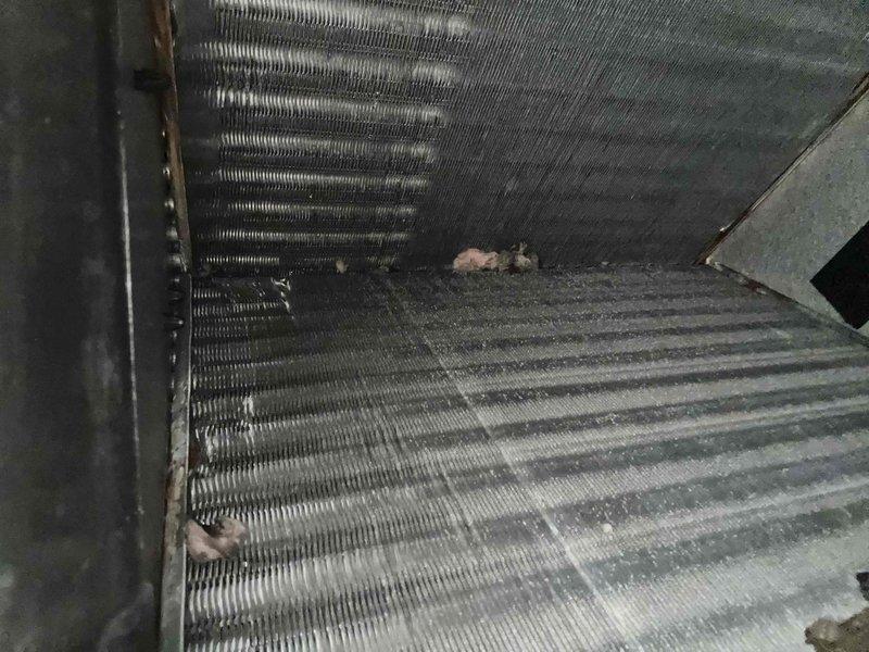 Completed comprehensive Care Plan tune-up on dual HVAC system with heat pump and two air handler units. Accessed air handlers located in basement and attic spaces, performed thorough inspection of both systems including coil examination which revealed moderate dust and debris accumulation on heat exchanger fins. Verified customer maintains washable filters on-site and confirmed filter accessibility for routine maintenance. Both systems inspected, tested, and returned to proper operating condition per manufacturer specifications.