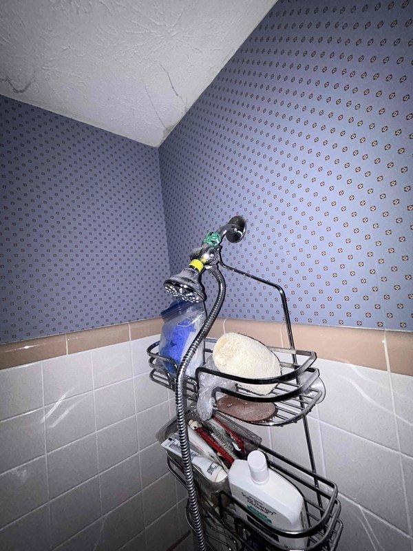 Completed comprehensive 65-point plumbing inspection of residential property without performing flush tests as specified in service agreement. Conducted thorough visual assessment of accessible plumbing systems including crawl space examination of drainage lines, PVC piping infrastructure, and supply line routing beneath structure. Inspected bathroom fixtures, shower assembly, and visible plumbing connections for proper operation and potential issues. Documented all findings with photographic evidence of crawl space plumbing configuration and bathroom fixture conditions for service records.
