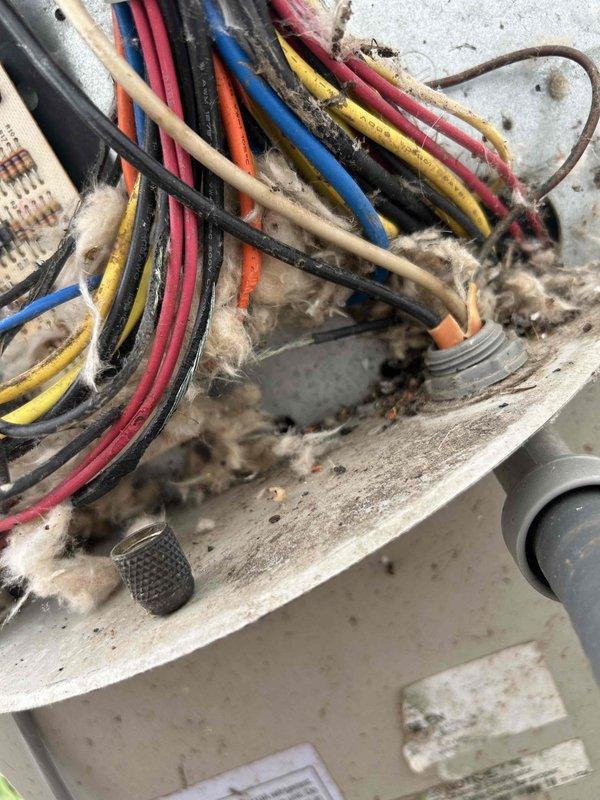 Responded to no cooling call on electric air conditioning unit located in back barn. Upon inspection, found failed run capacitor with visible heat damage to connected wiring and significant debris accumulation within electrical compartment. Replaced defective capacitor, cleaned electrical connections, removed dust and lint buildup from control panel, and verified proper system operation with all components functioning normally.