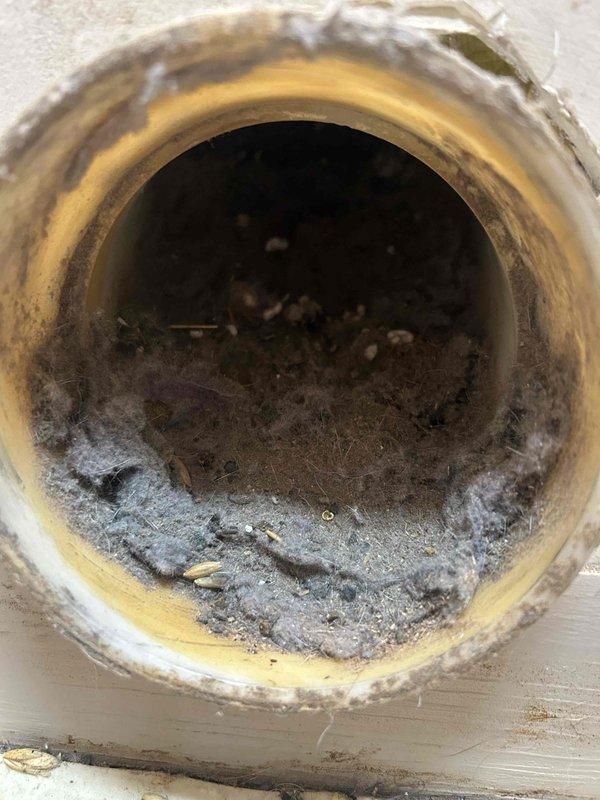 Performed comprehensive dryer vent cleaning on an estimated 20-30 year old vent system that had never been previously serviced. Inspection revealed significant accumulation of lint, dust, and debris throughout the ductwork, particularly concentrated at the terminal opening and along the bottom of the flexible aluminum vent line running through the crawlspace. Removed all buildup using professional rotary brush system and high-powered vacuum equipment to restore proper airflow and eliminate fire hazard associated with restricted venting.