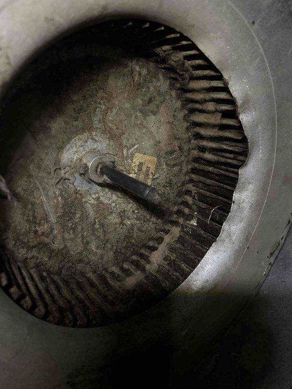 Responded to report of grinding noise from 5-year-old air conditioning unit located in crawl space. Upon inspection, discovered severely clogged air return filter and blower wheel assembly heavily coated with dust and debris accumulation. Identified excessive dust buildup on blower wheel blades and housing as primary cause of grinding noise and restricted airflow. Cleaned blower assembly, replaced air filter, and verified proper system operation. Unit returned to normal operation with no abnormal sounds detected. Recommended regular filter maintenance to prevent future issues.