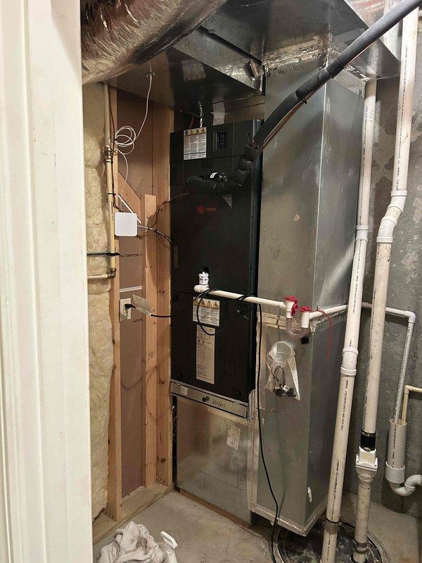 Completed comprehensive Care Plan tune-up on heat pump and air handler system located in basement mechanical room. Performed thorough inspection of equipment including blower assembly, verified proper operation of all components, and documented system condition with detailed photographs. Customer will provide their own air filter for the unit.
