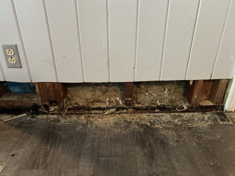 Responded to basement water infiltration issue in 75-year-old residential property. Upon arrival, conducted thorough inspection of affected area where homeowner reported moisture intrusion during rain events. Investigation revealed significant water damage to interior wall structure at floor level near doorway threshold, with extensive deterioration of wooden framing members, studs, and baseplate assembly.

Removed compromised white beadboard paneling at wall base to expose underlying structural components and assess full extent of damage. Discovered severe water staining, rot, and deterioration throughout lower wall framing, indicating chronic moisture infiltration rather than active plumbing leak. Dark discoloration and compromised wood integrity observed on multiple vertical studs and horizontal members, with accumulated debris and deteriorated building materials present in wall cavity.

Documented extensive damage through photographic evidence showing blackened, water-damaged frami